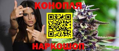 сатива Пыть-Ях