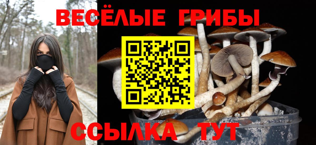 Псилоцибиновые грибы Cubensis  Галлюциногенные грибы Psilocybine cubensis  Вход с VPN  Новокубанск 